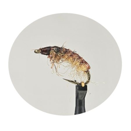 SØTNOSEN BRUN KROK 10